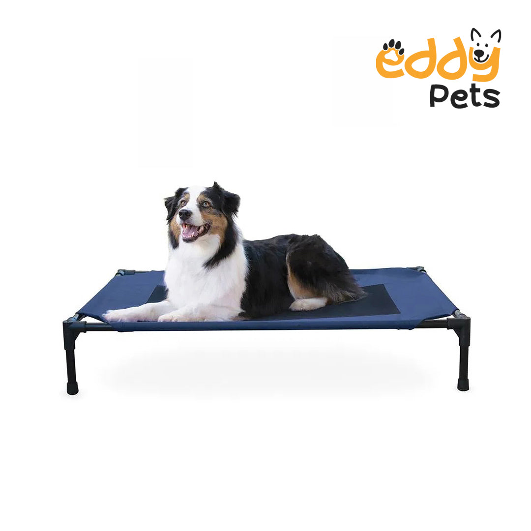 Eddy Pets - Dog Bed, Large, Navy Blue