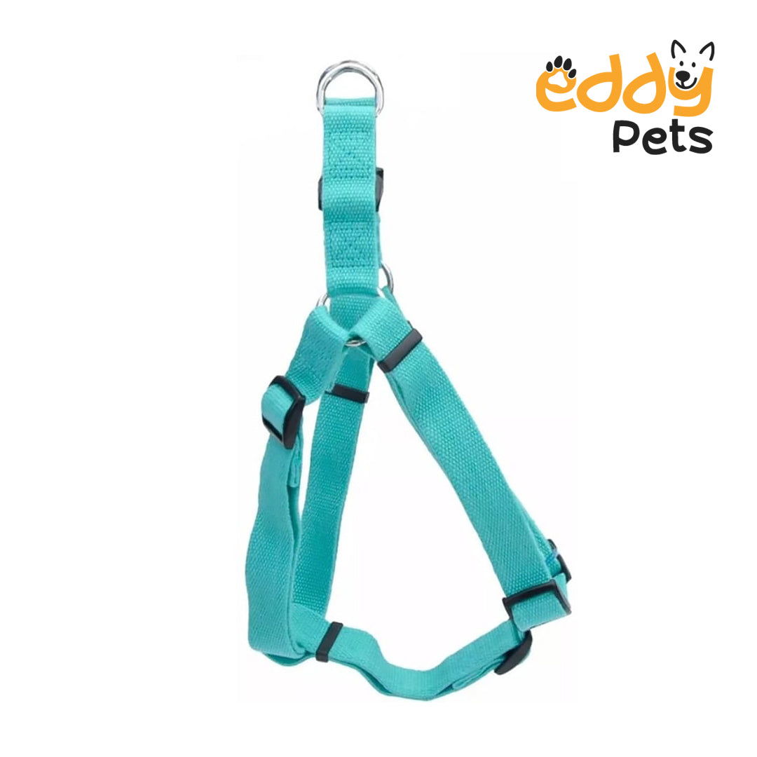 Eddy Pets - Dog Harness Mint Green - X-Small