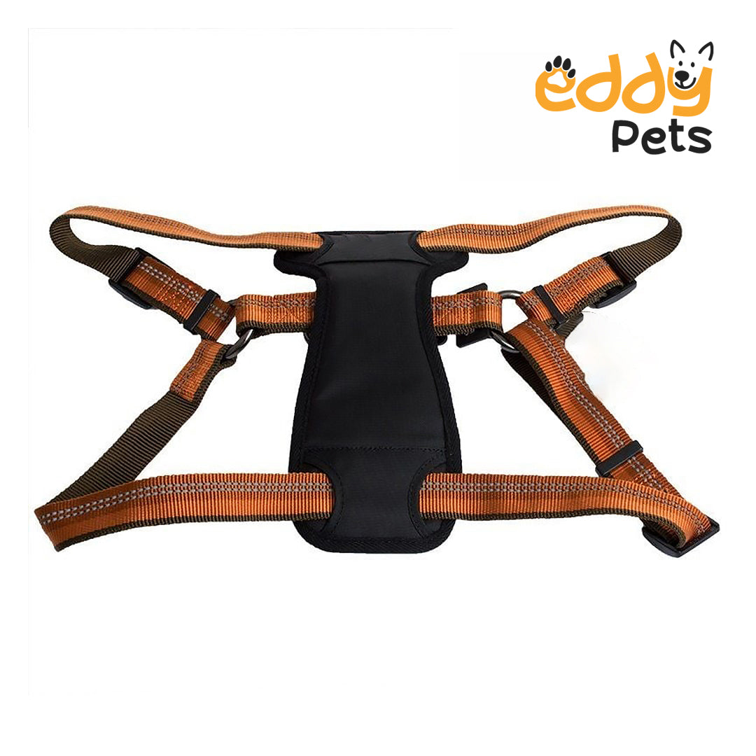 Eddy Pets - Reflective Adjustable Padded Dog Harness - Campfire Orange - Fits 26"-38"